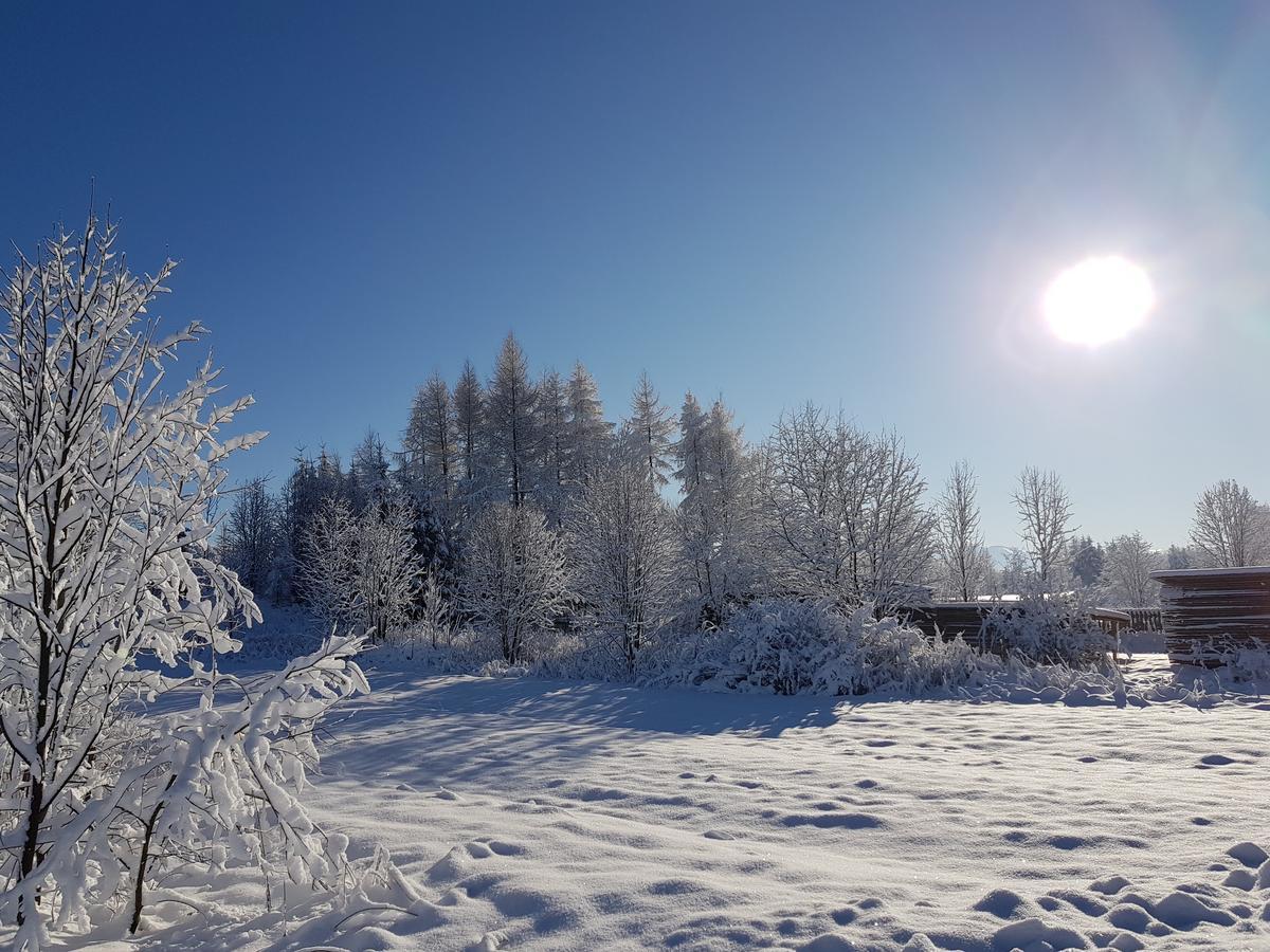 Pokoje Pod Bocianem Chocholow Dış mekan fotoğraf