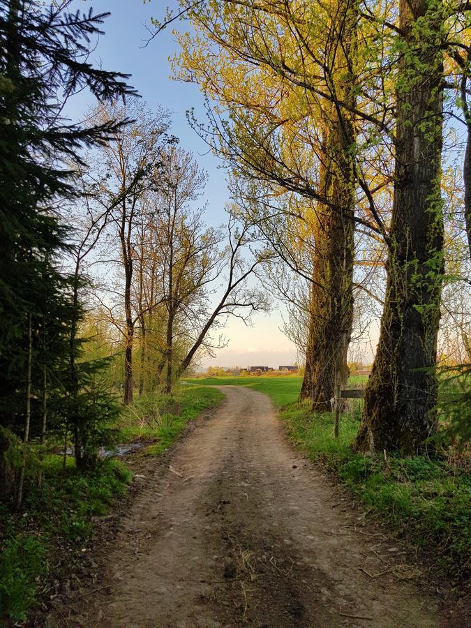 Pokoje Pod Bocianem Chocholow Dış mekan fotoğraf